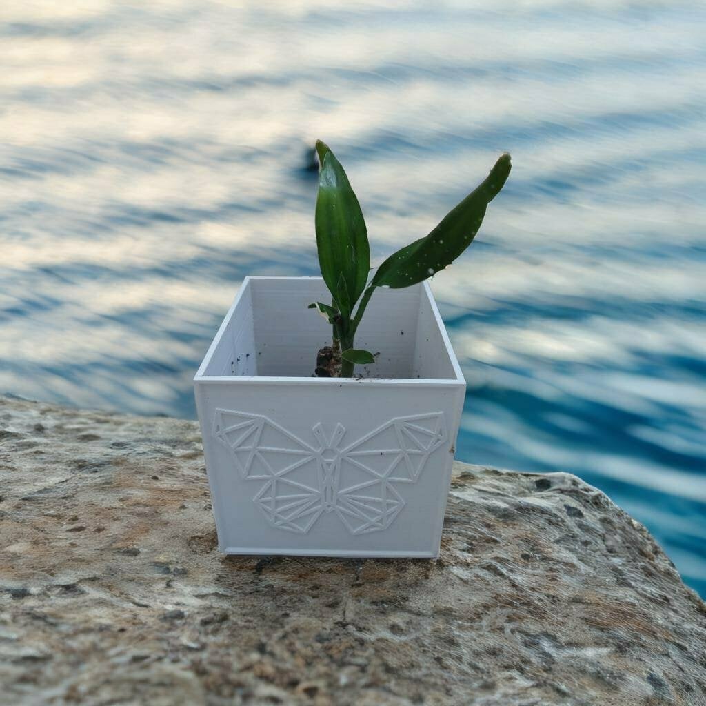 Creature Haven Cube Planter 3d model