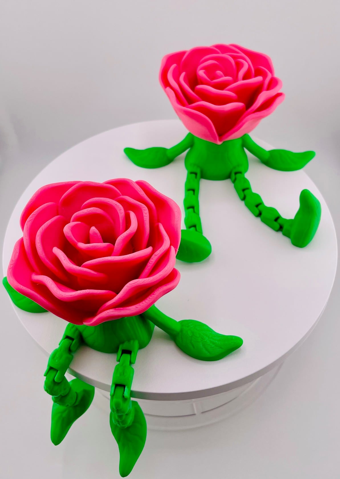 Mr Rose Bud-Dee 3d model