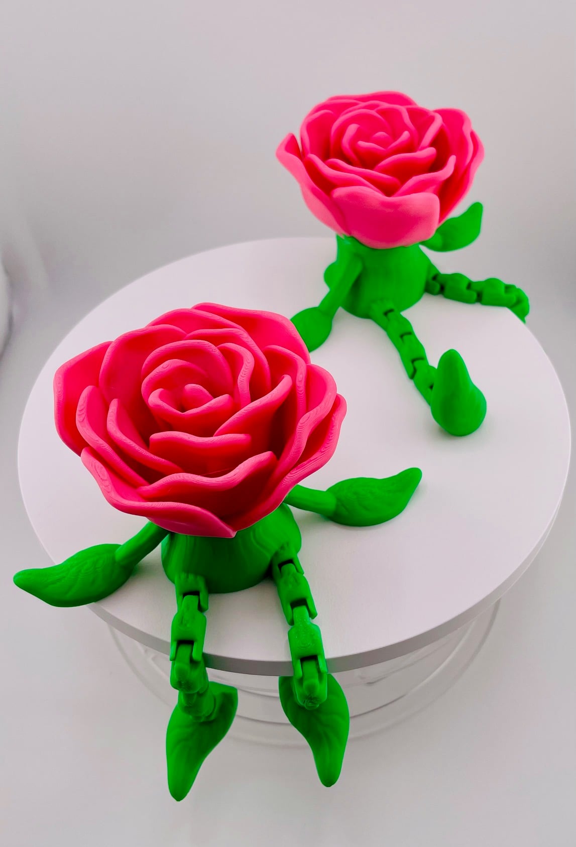 Mr Rose Bud-Dee 3d model