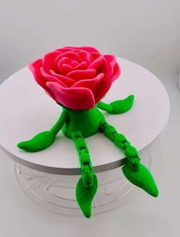 Mr Rose Bud-Dee 3d model
