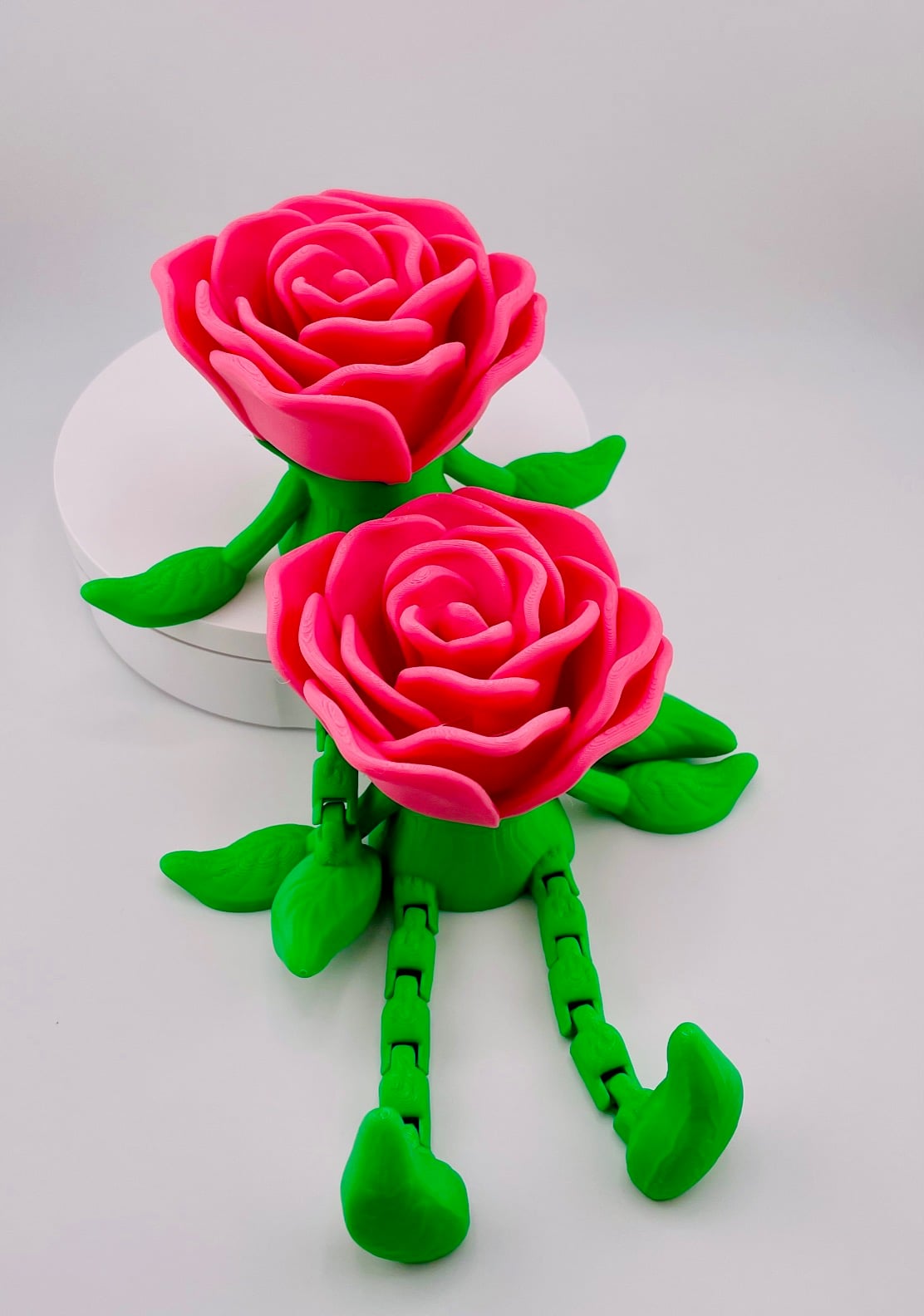 Mr Rose Bud-Dee 3d model