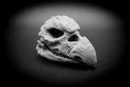 Skeksis Skull (Pre Supported) 3d model