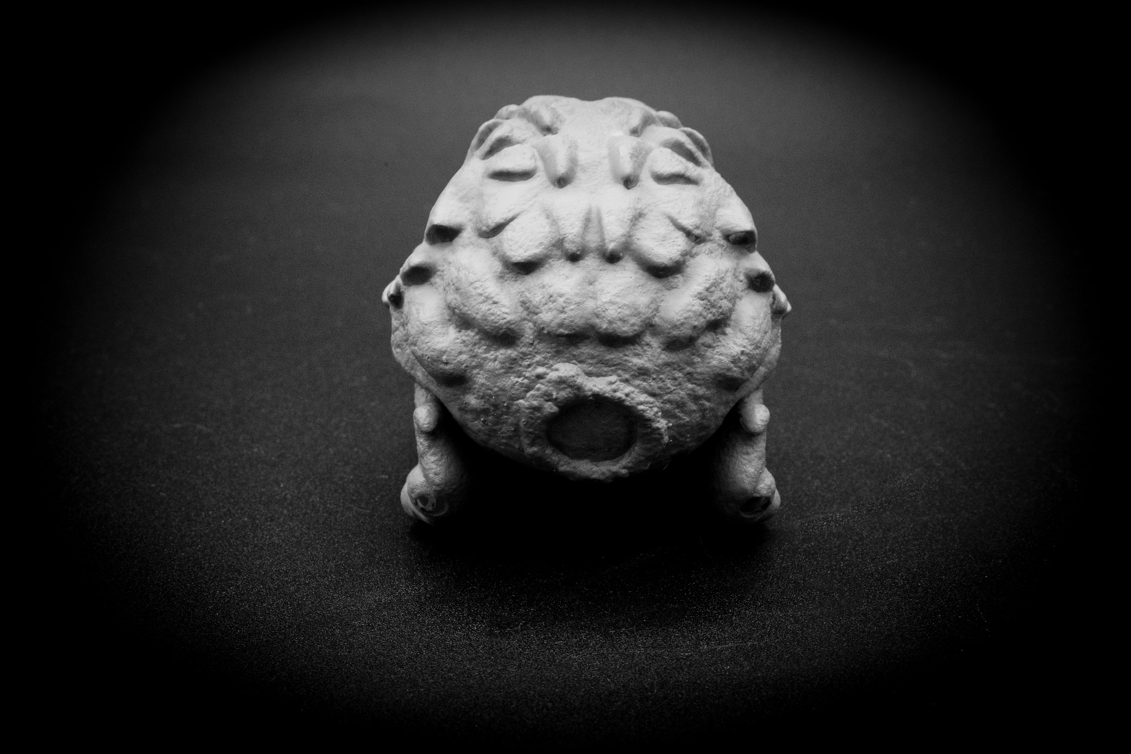 Skeksis Skull (Pre Supported) 3d model