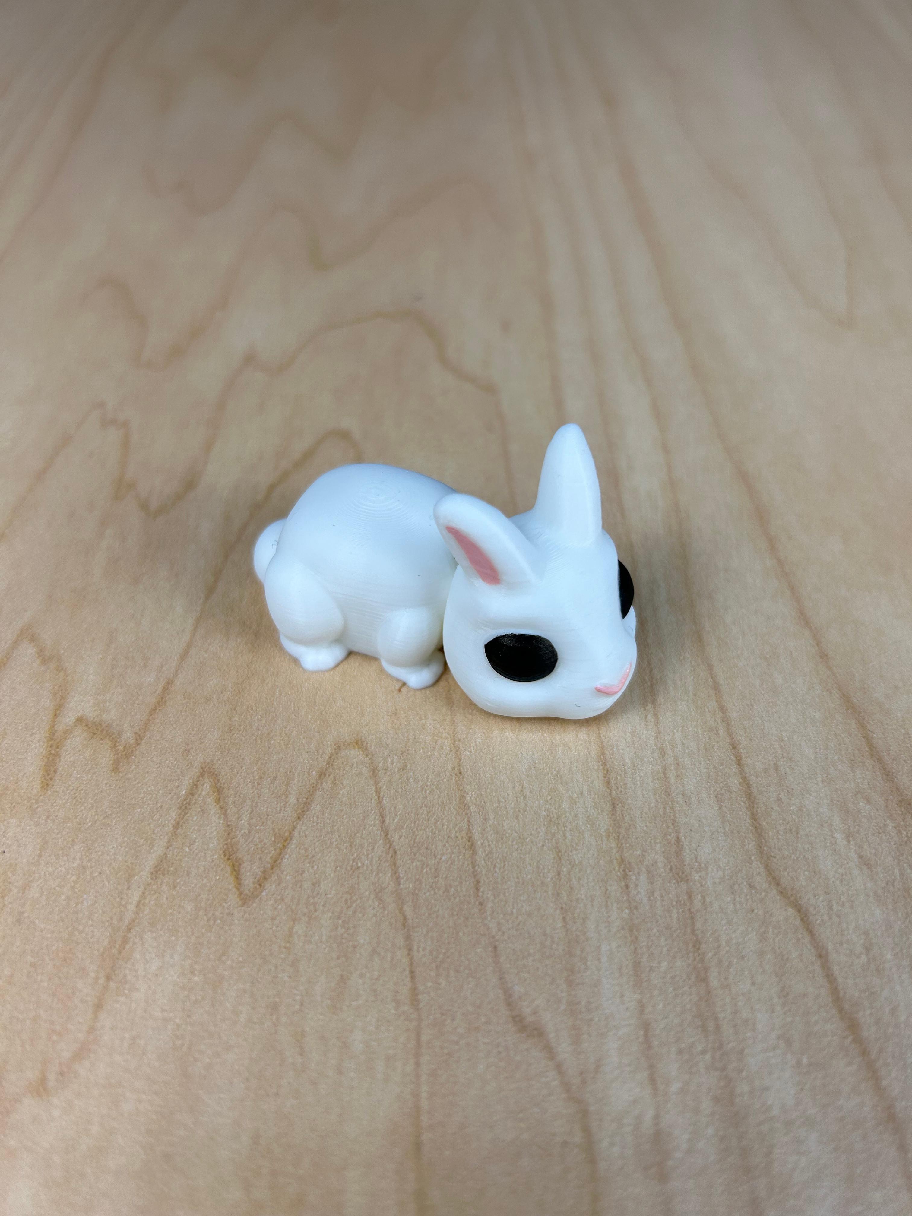 Bunny Fidget 3d model