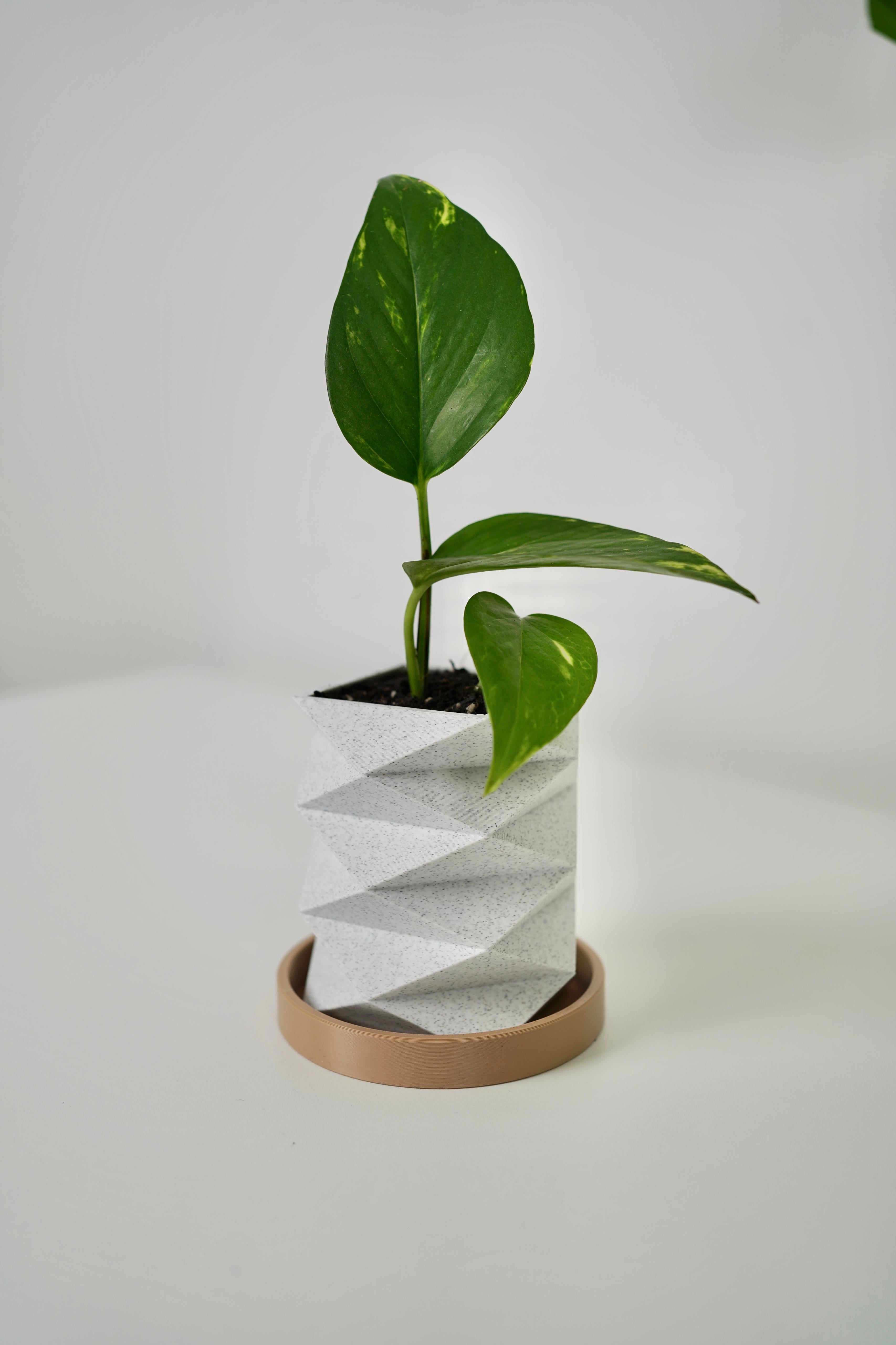 ORIGAMI planters 3d model