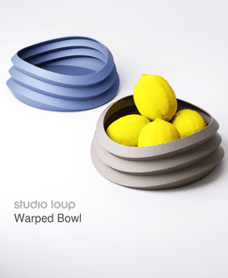 Warped Bowl 3d model