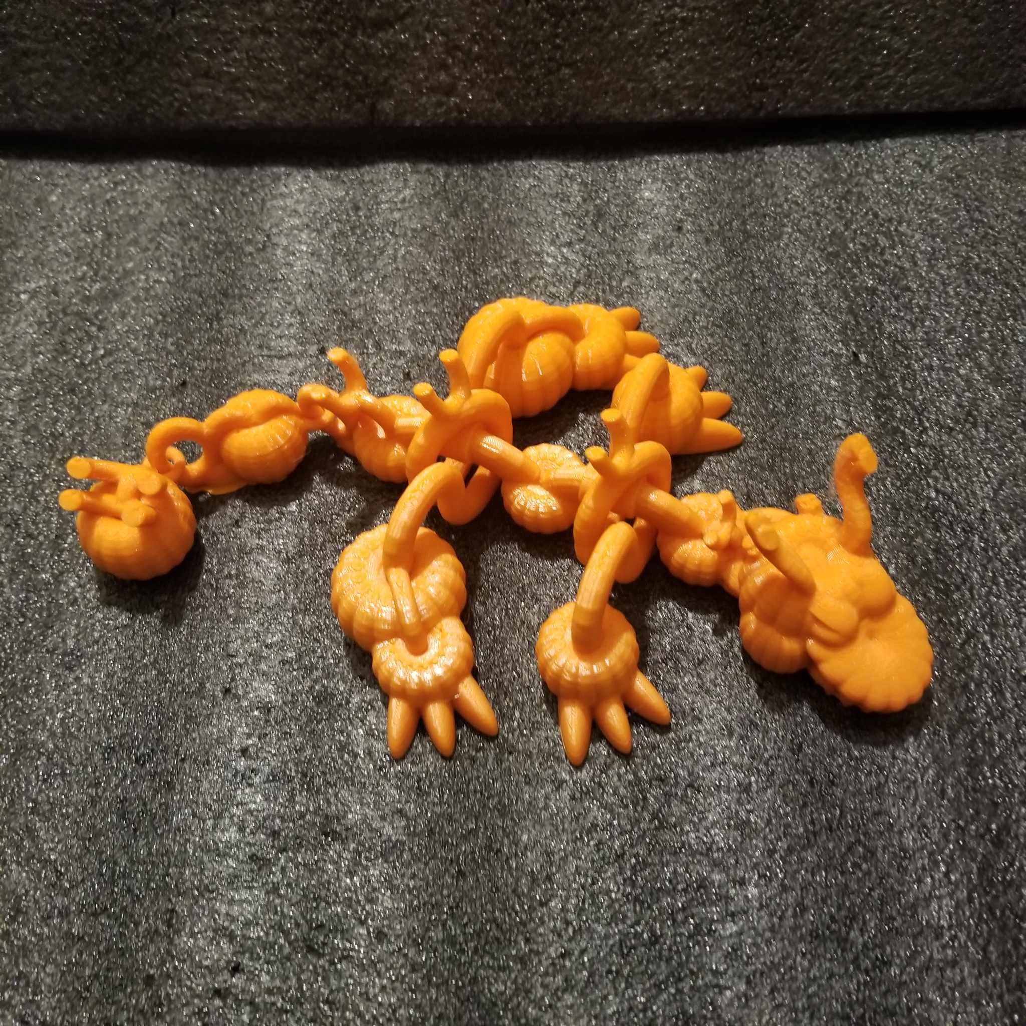 Shakaworld3d Baby Pumpkin Patch Dragon fidget spinner  3d model