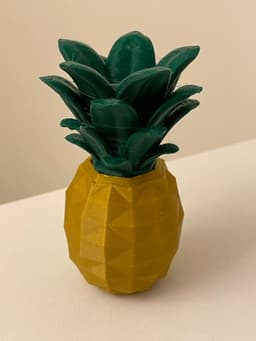 Pineapple Container 3d model