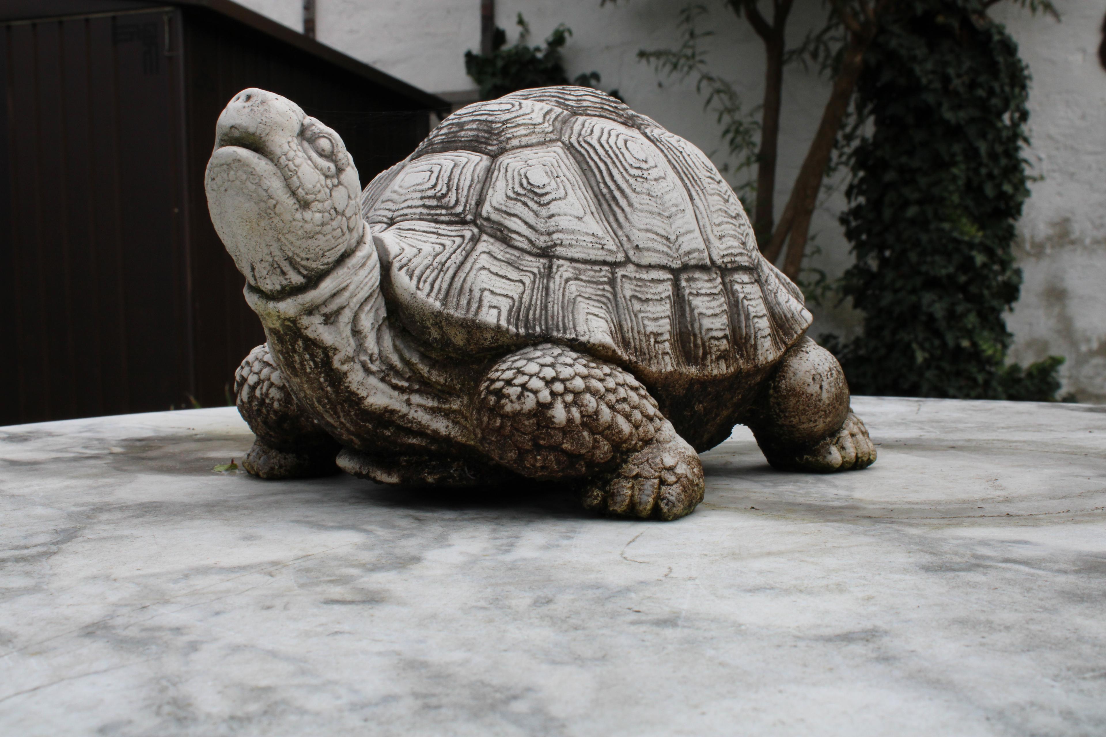 Turtle figurine 3d model