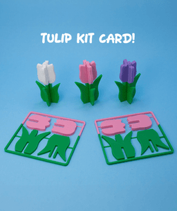 Tulip Kit Card 3d model