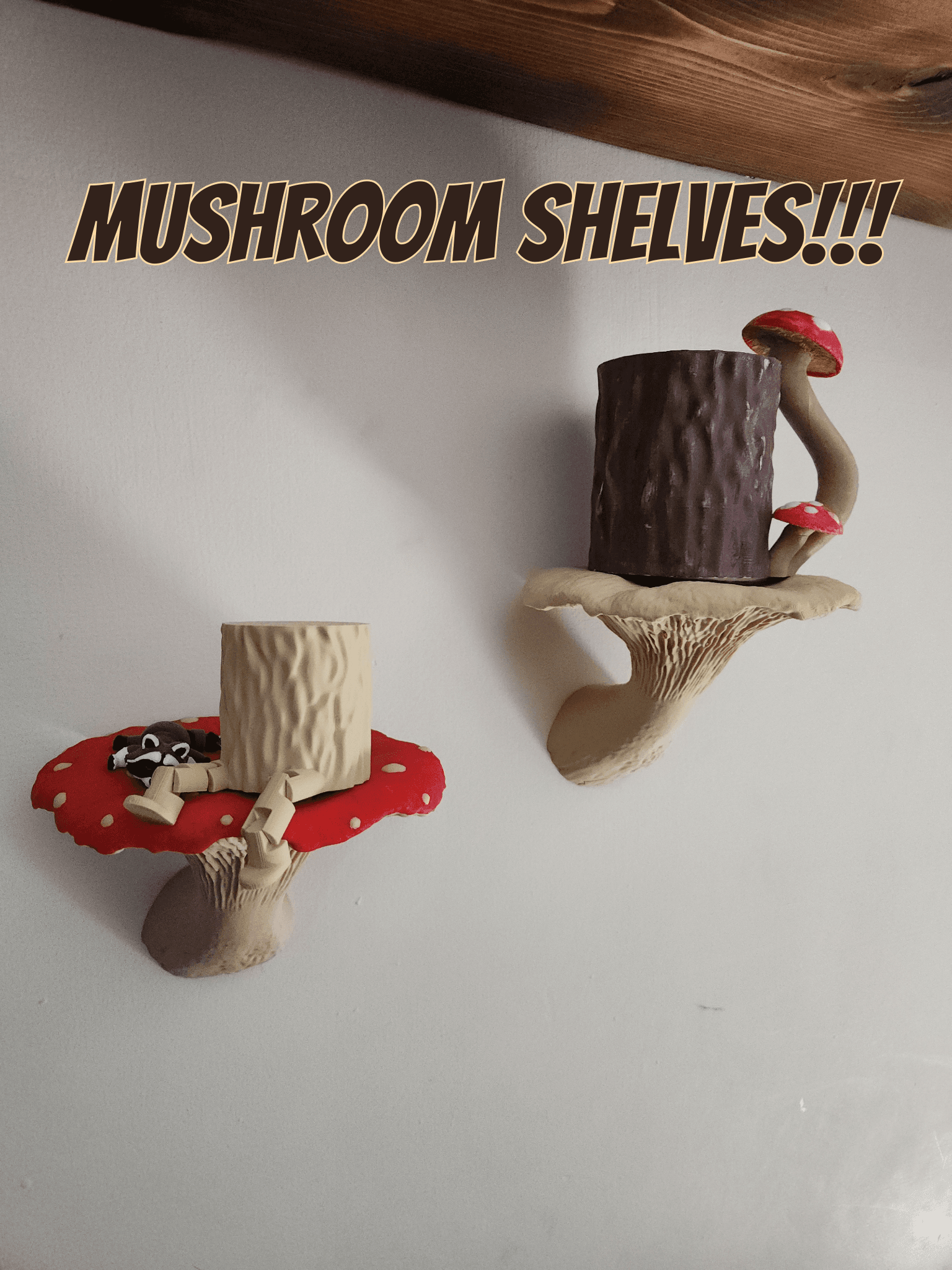 Mushroom Shelves!! 3d model