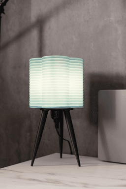 The Coil Lamp 3d model