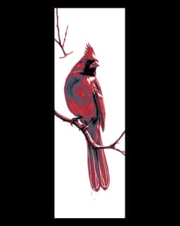 The artistic beauty of the fair cardinal - set of bookmarks 3d model