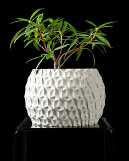 Hexa Planter Pot by MODERN MACHINE 3d model