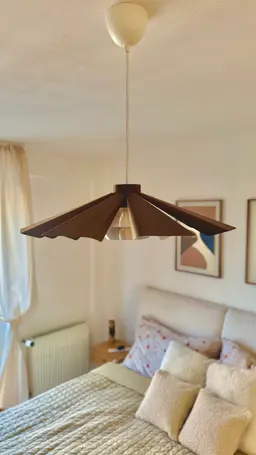 Fin Pendant Lamp 3d model