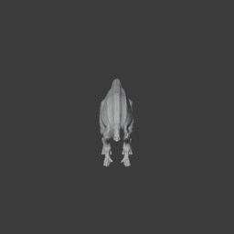 Hippodraco 3d model