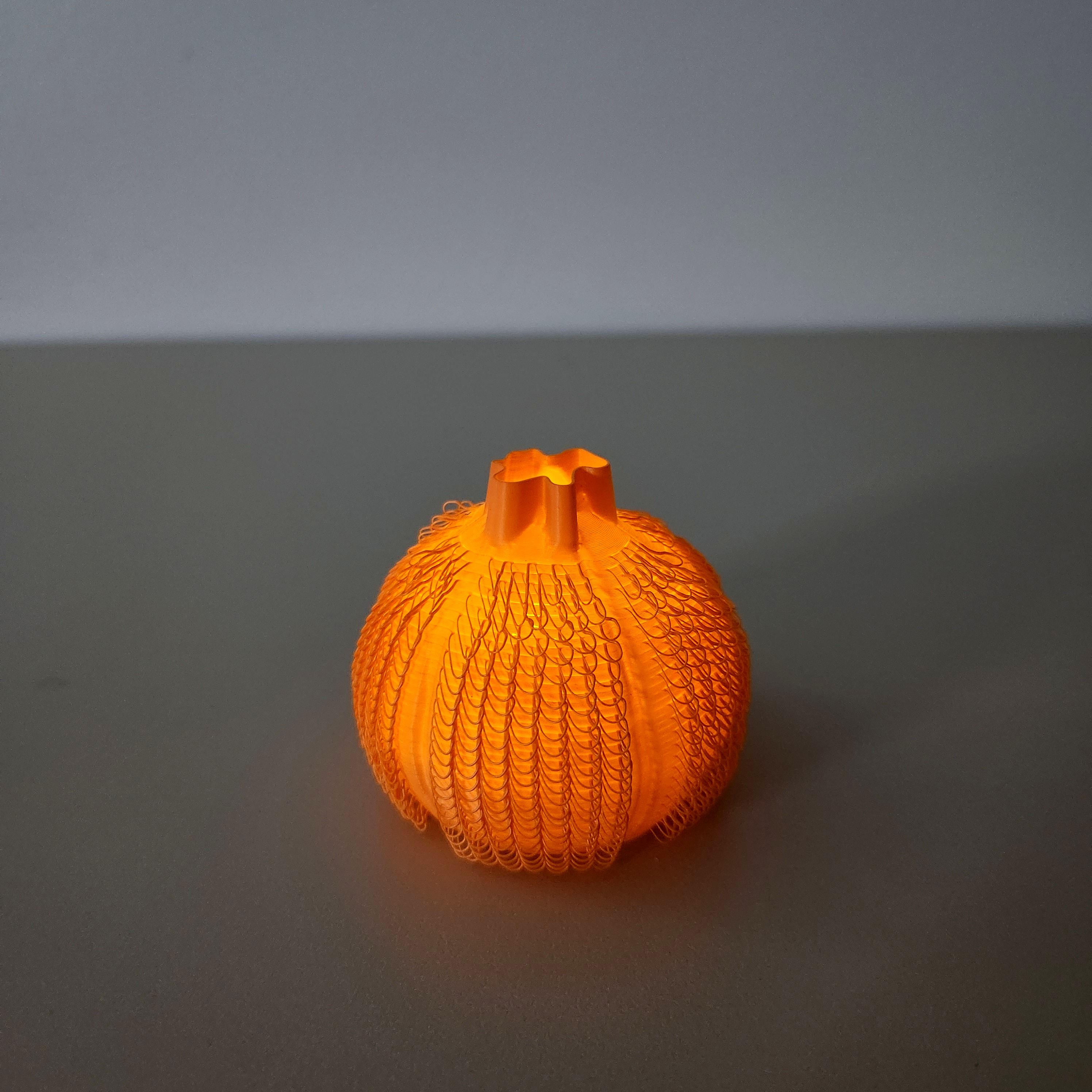 Little Loopy Pumpkin (Short) 3d model