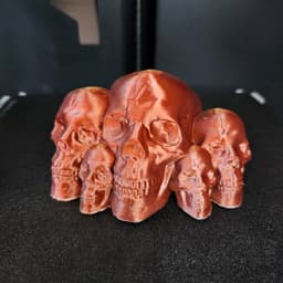 Skull Family 3d model