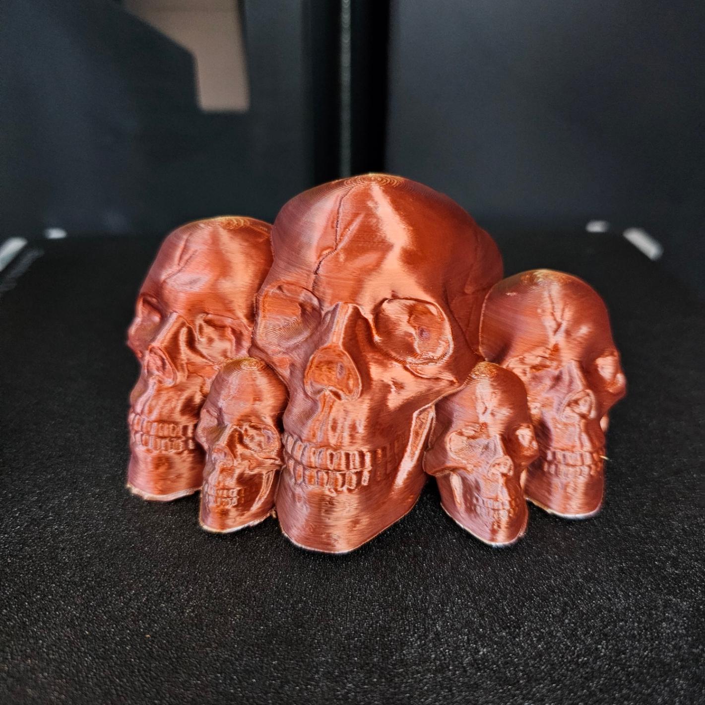 Skull Family 3d model