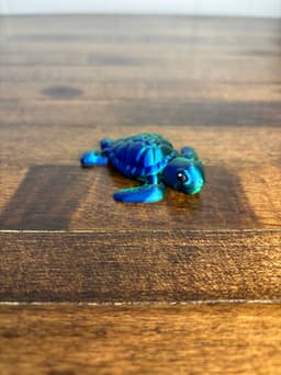Sea Turtle 3d model