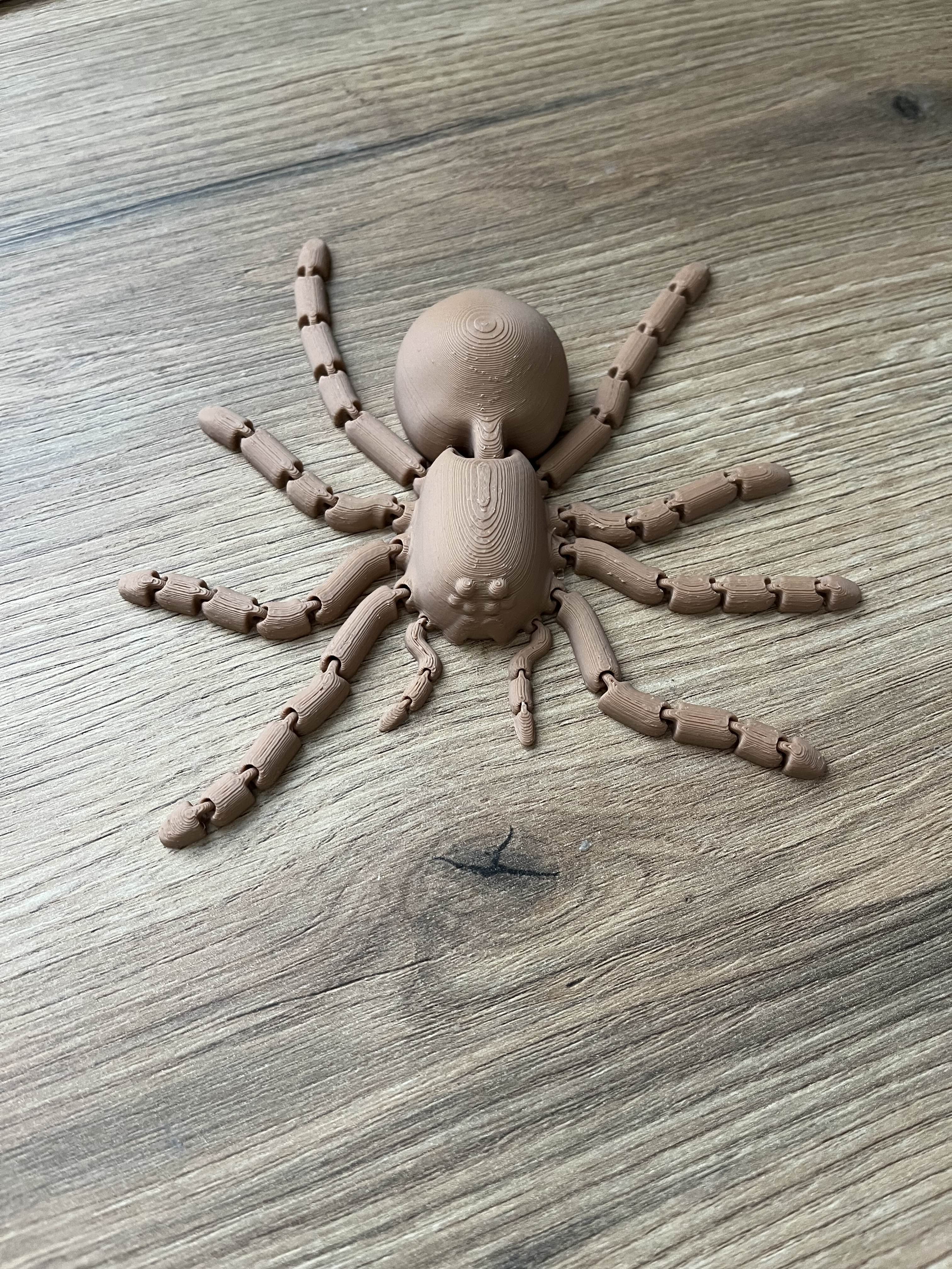 Articulated real life size Tarantula Spider 3d model