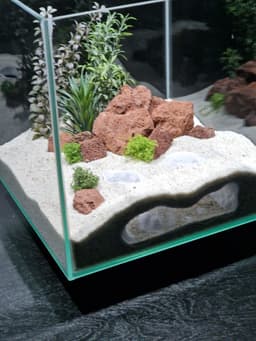 Natural Aquarium Sea Bottom Cave Hide | Shelter for Fish Tanks & Terrariums | Big Visible Openings 3d model