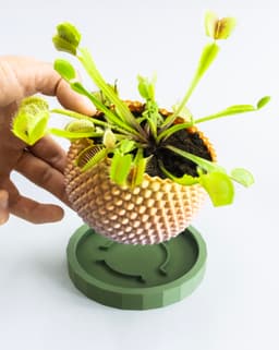 SPATHI Planter 02 // Small Plant Pot or Container 3d model