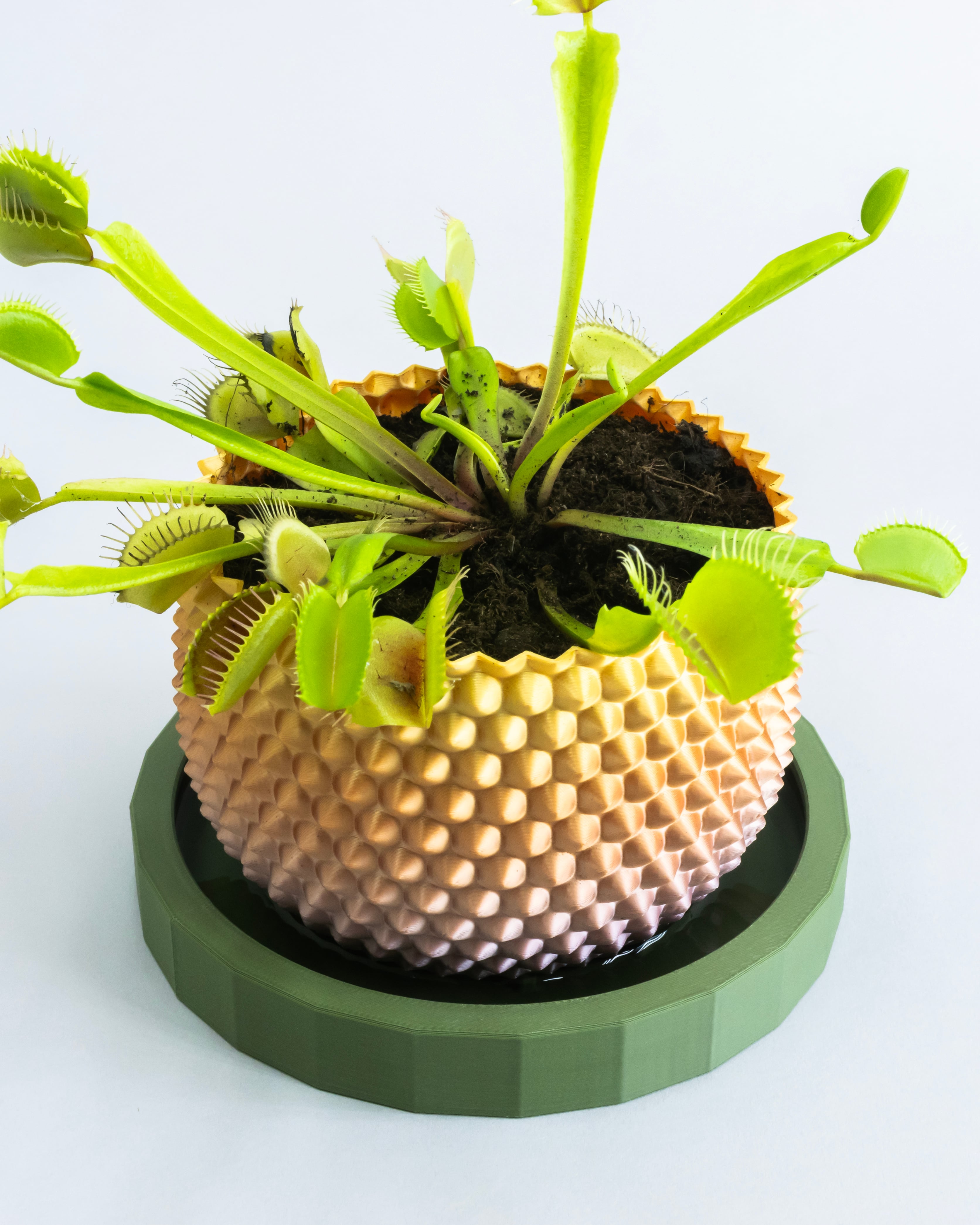 SPATHI Planter 02 // Small Plant Pot or Container 3d model