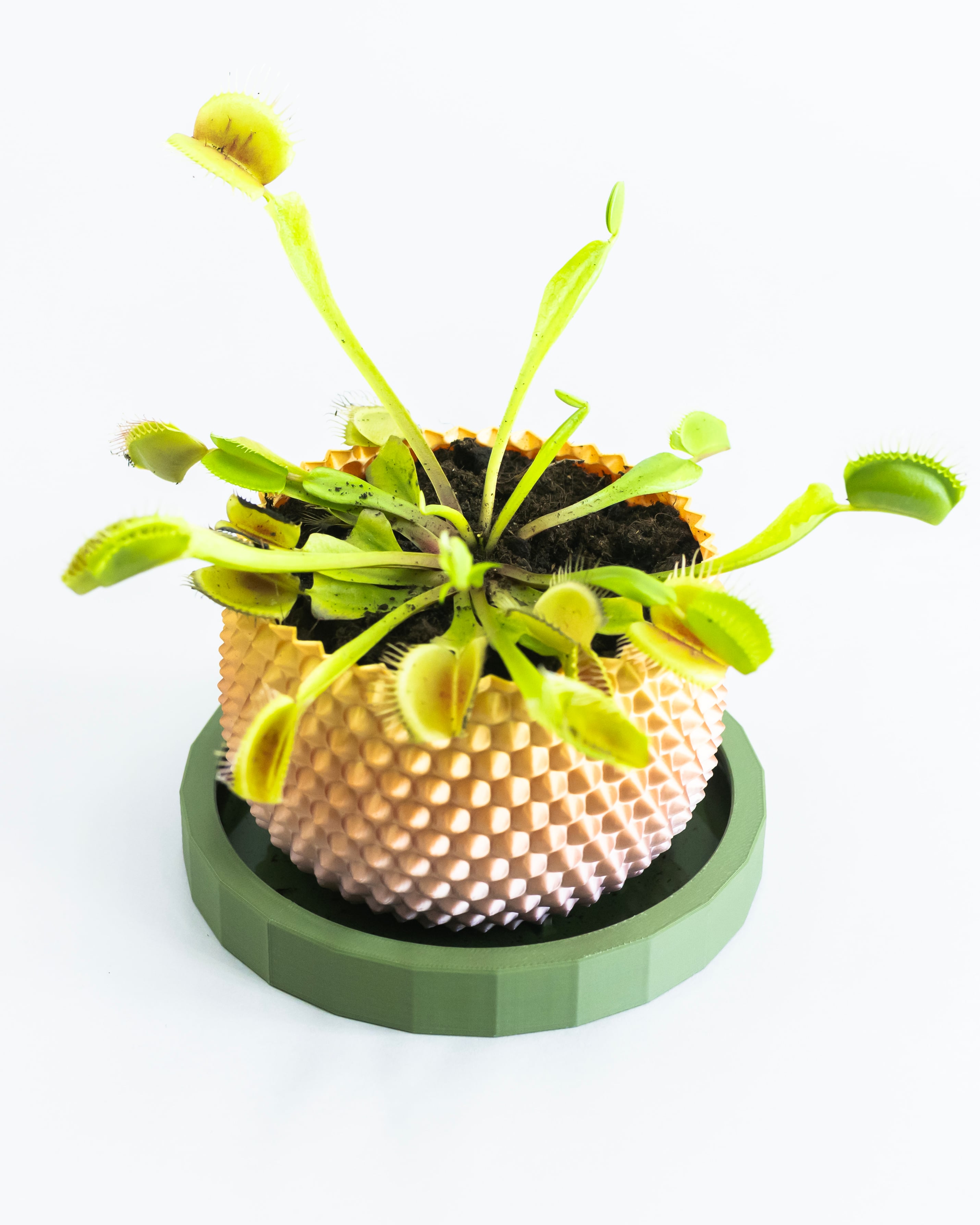 SPATHI Planter 02 // Small Plant Pot or Container 3d model