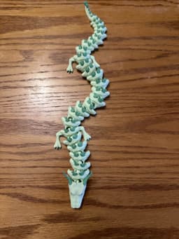 Articulated Dragon 3d model