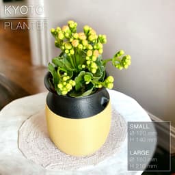 KYOTO | Self-Watering Planter 3d model