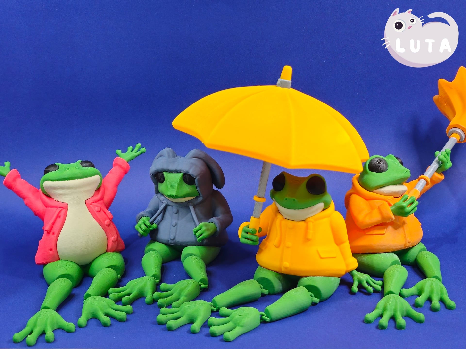 Bunny Raincoat Frog 3d model