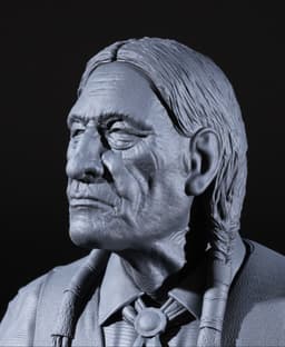 Indigenous Elder -
Printed on Elegoo Saturn 8K with Siraya Tech Fast Navy Grey 3d model