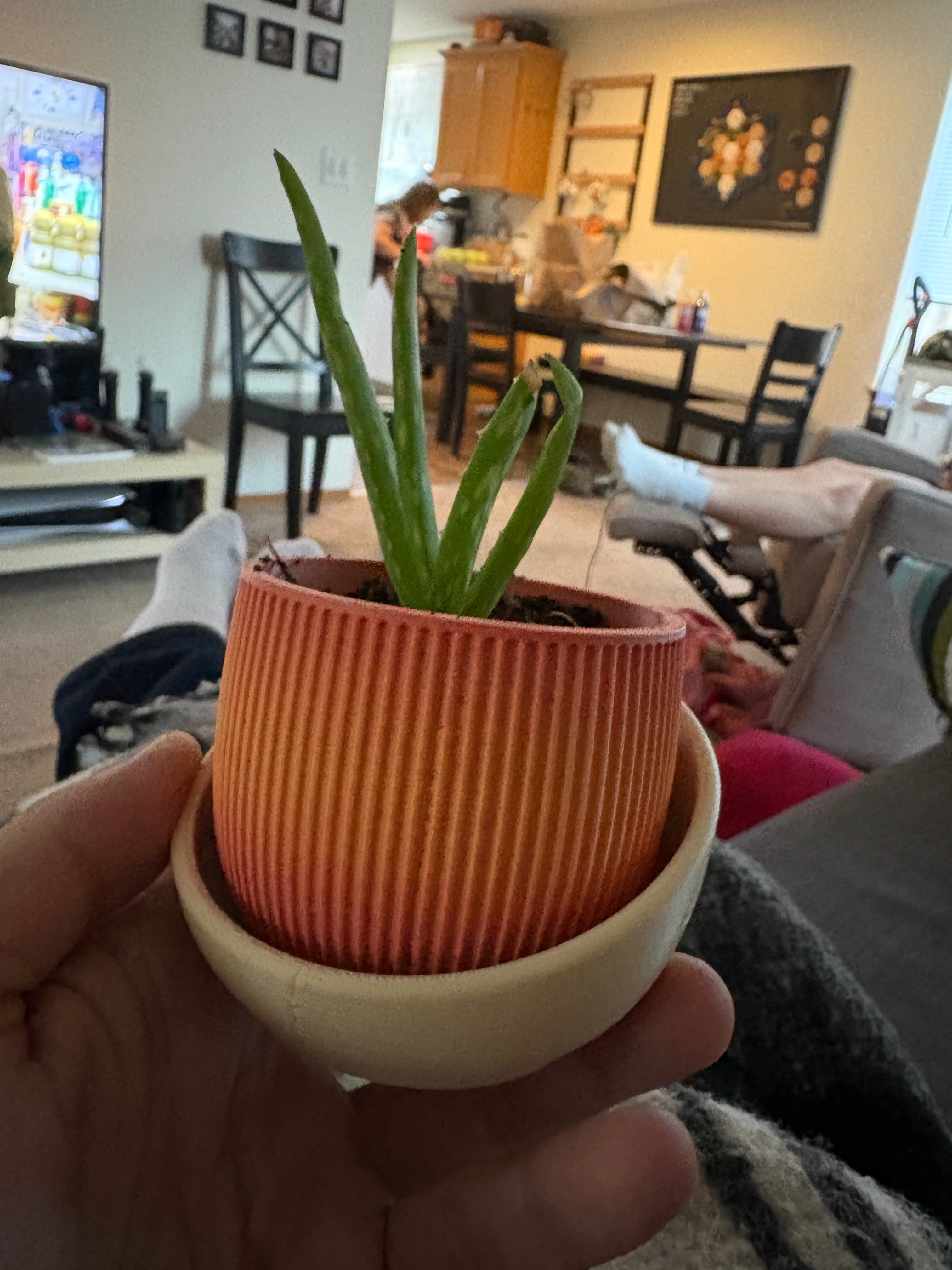 Printed the pot itself with Overtureās Stone āPainted Hillsā PLA.
