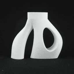 The Root Vase STL 3D Print File, Home Decor Vase for Plants and Flowers 3d model