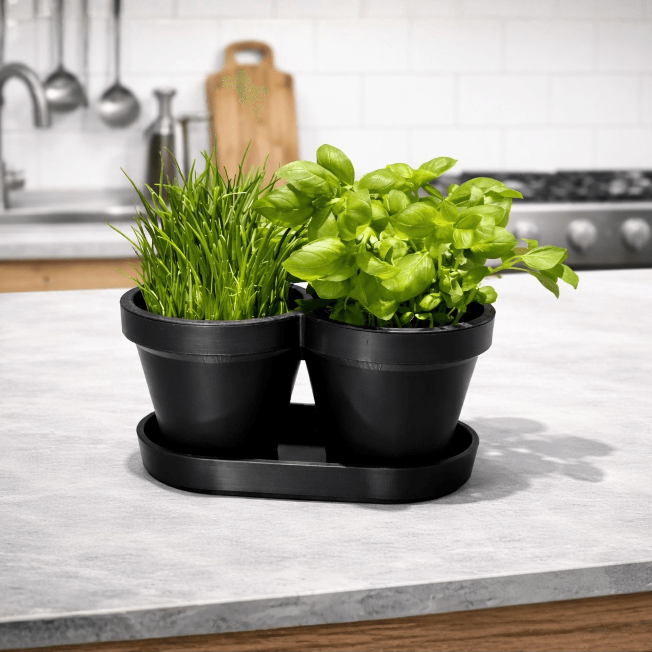 HERBS PLANTER POT / BASIL / CHIVES / KITCHEN GADGETS / ORGANIZER / HOMEDECOR / TOOLS 3d model