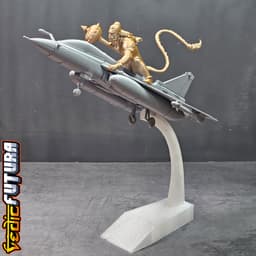 Indian LCA-Mk2 Tejas Fighter-Jet with Hanuman 3d model