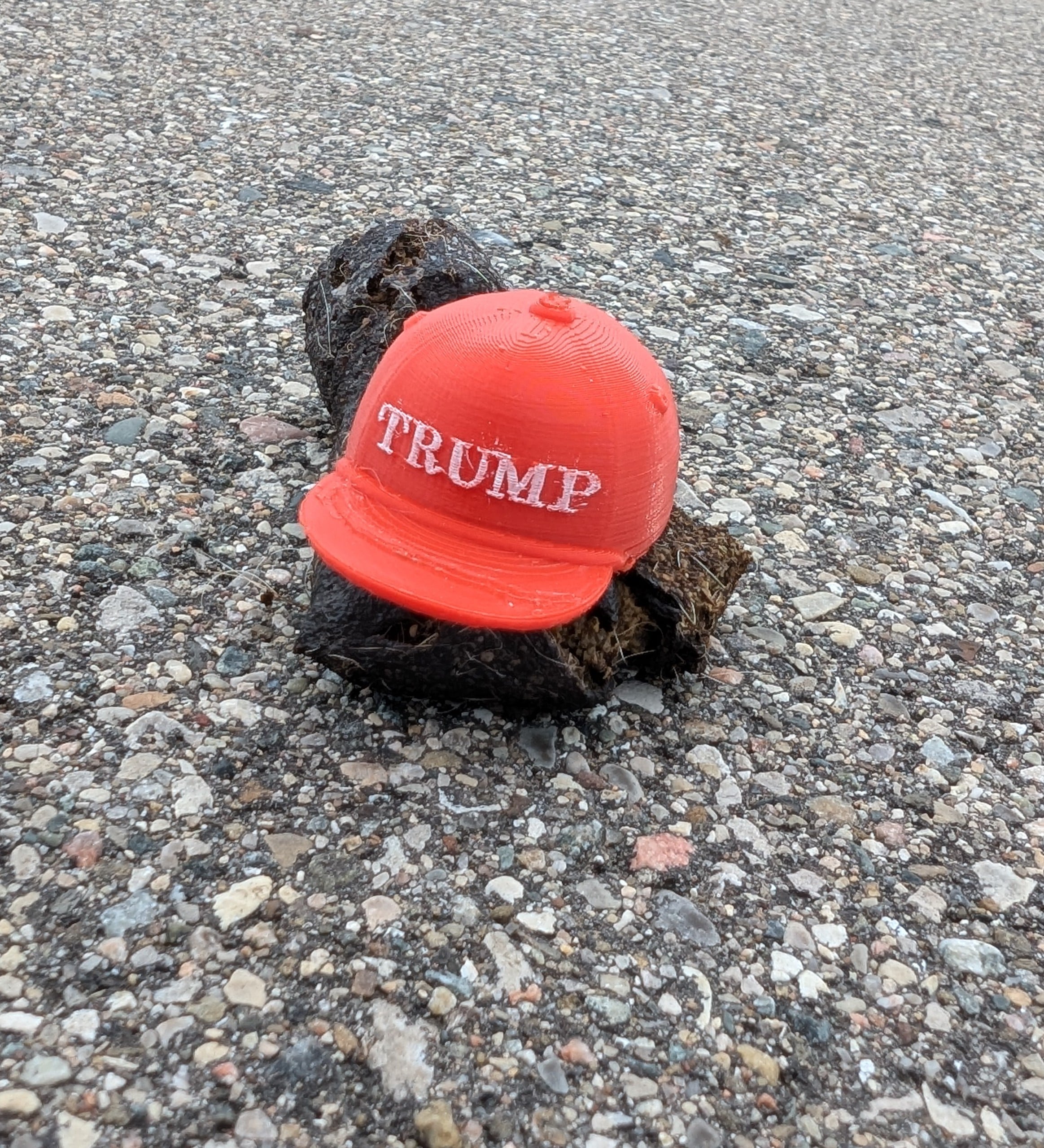 TRUMP HAT (no toothpick) 3d model