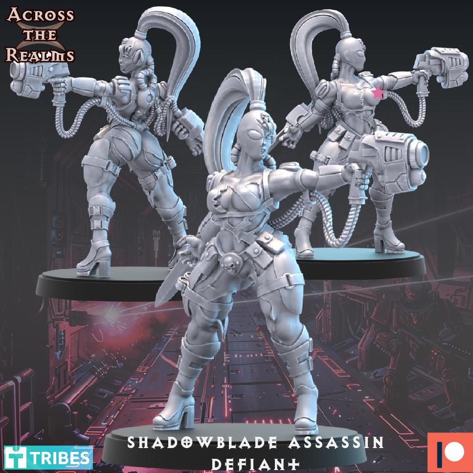 Shadowblade Assassin - Defiant 3d model