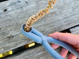 Basil Stem Seed Stripper 3d model
