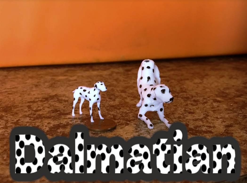 Dalmatian. 3d model