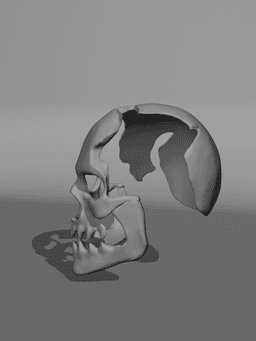Priyatel Skelet Skeleton guy from Creature Commandos cosplay prop 3d model