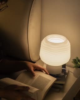 Wavy Mushroom Lamp 3d model