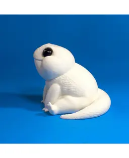 Albino Gecko. 3d model