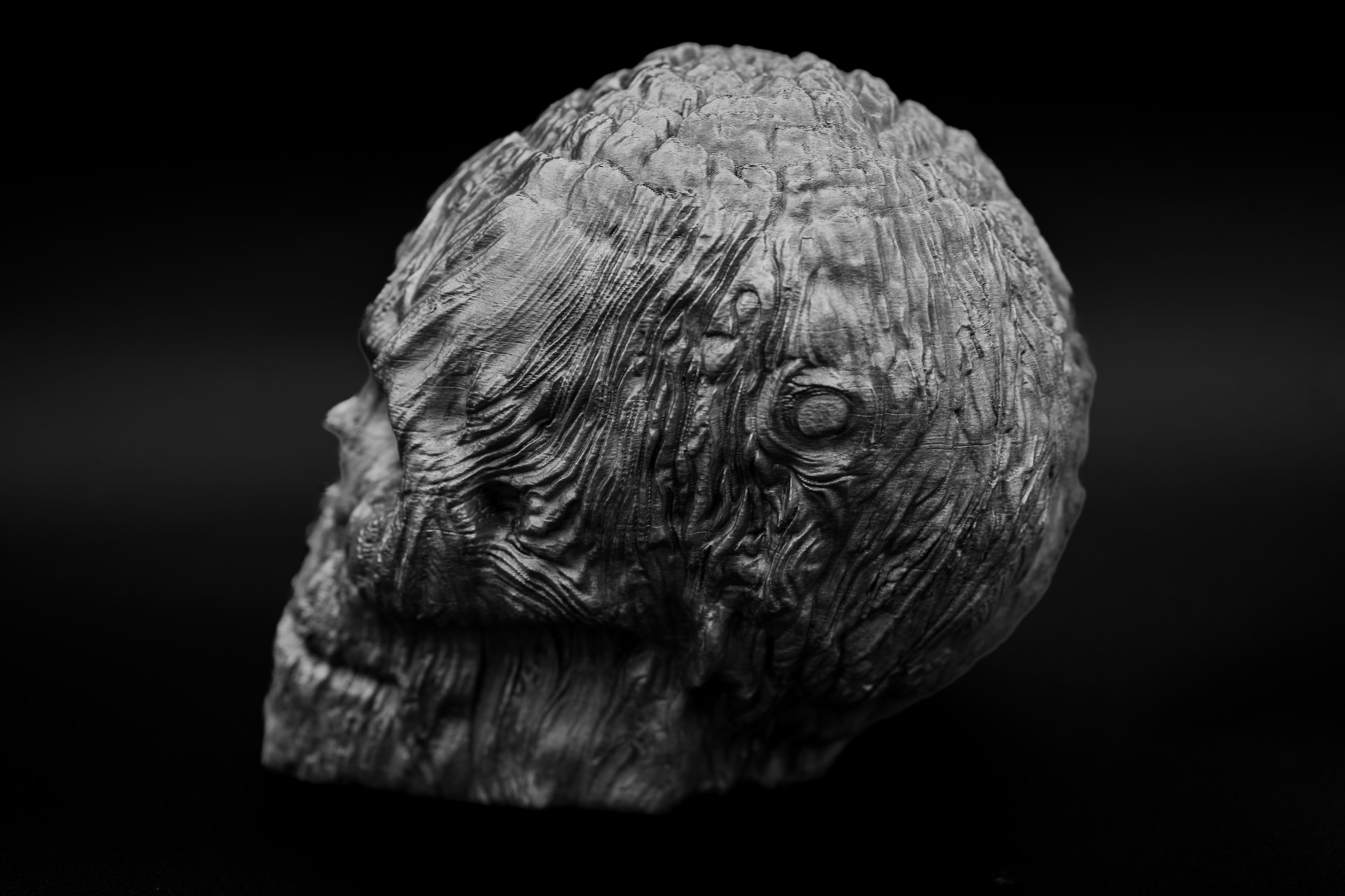 Forest Spirit Skull 3d model