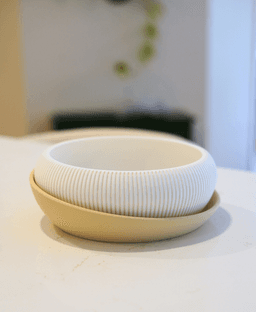 Vesa Fruit Bowl 3d model