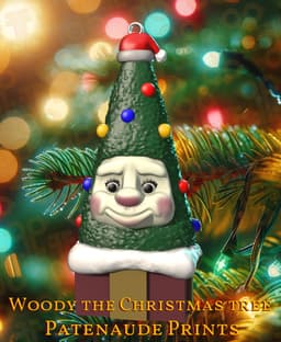 Woody The Chritsmas Tree Ornament 3d model