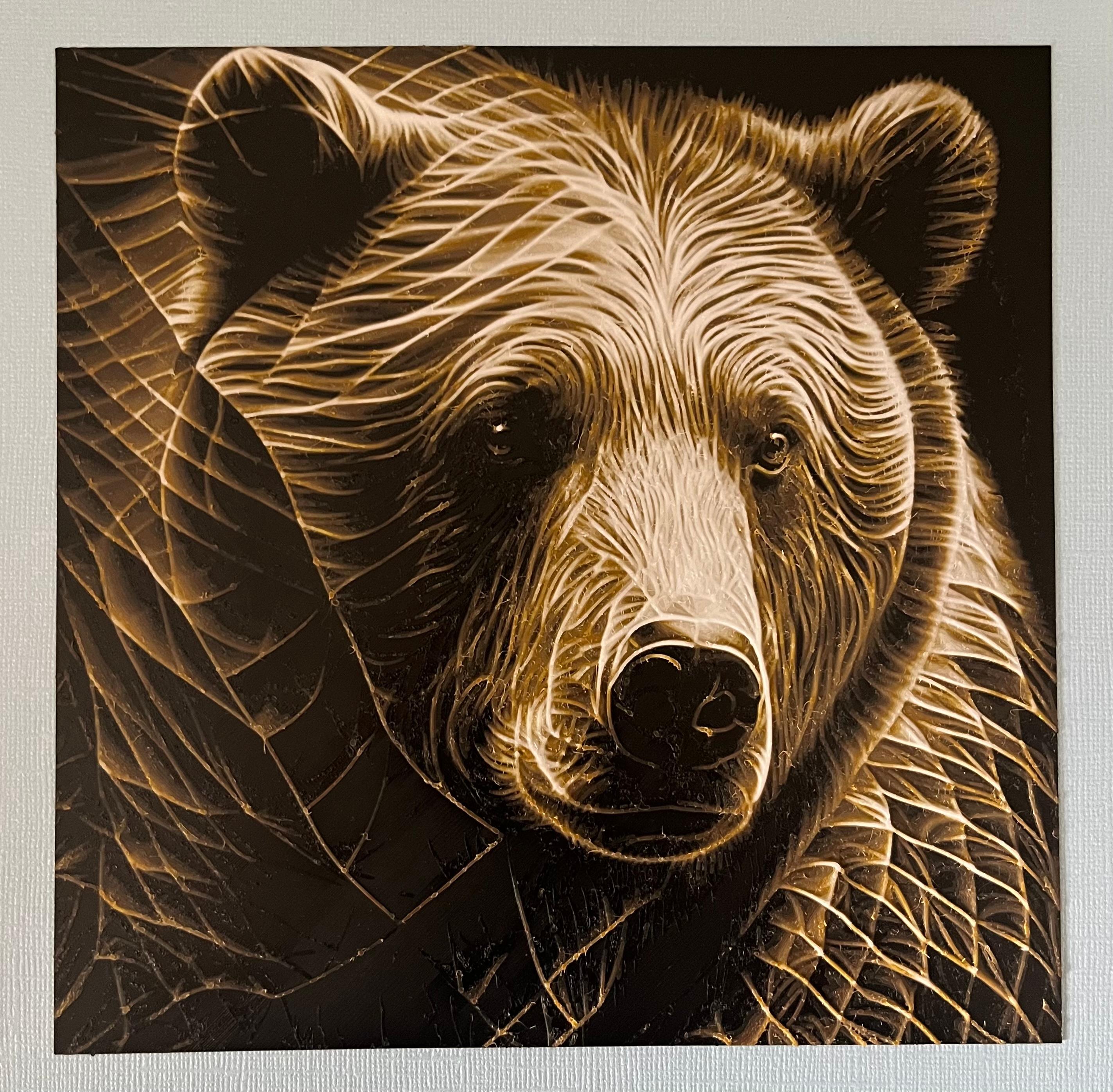 Op Art Bear Portrait 'Filament Painting' 3d model