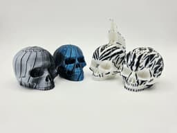 Mini Twist Fidget Skull Collection 3d model