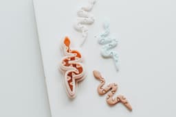 Western Snake Clay Cutter 3d model